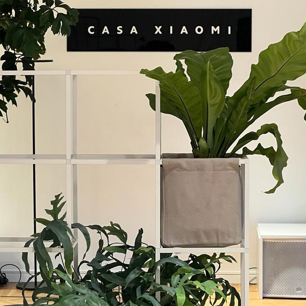 Casa Xiaomi